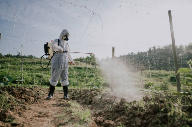 Best Local Pest Control Services  in Highland, IN