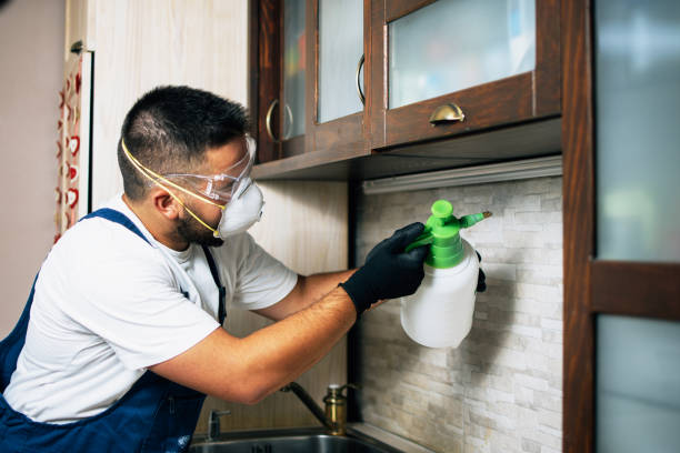 Best Residential Pest Control  in Highland, IN