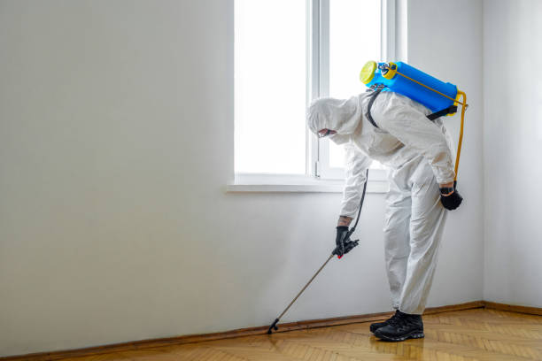 Best Local Pest Control Services  in Highland, IN