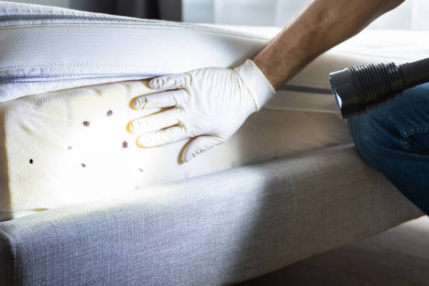 Best Pest Prevention Services  in Highland, IN