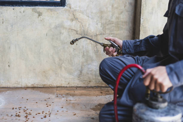Best Affordable Pest Control Services  in Highland, IN
